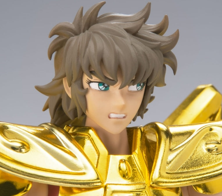 Saint Seiya Cloth Myth EX
Sagittarius Aiolos <Revival version>