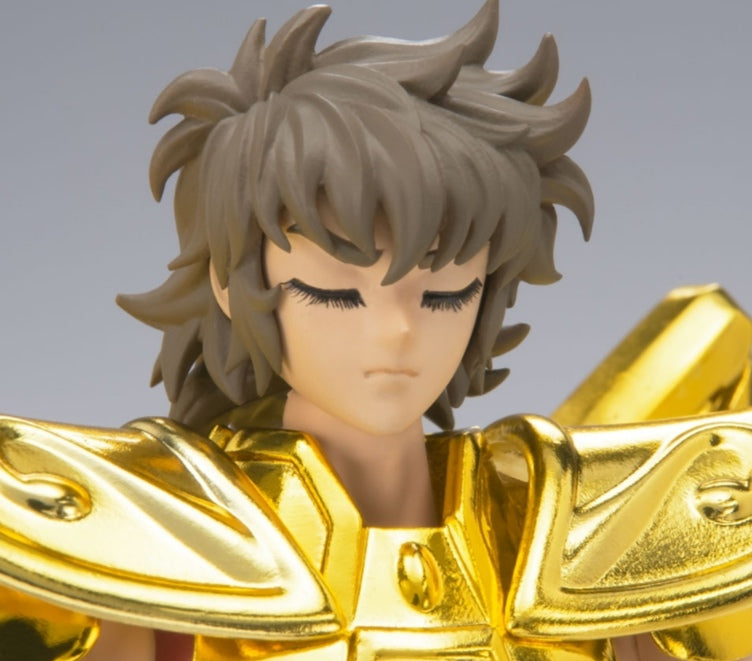 Saint Seiya Cloth Myth EX
Sagittarius Aiolos <Revival version>
