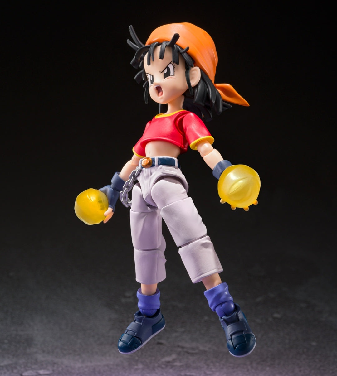 S.H.Figuarts
PAN -GT- & GILL