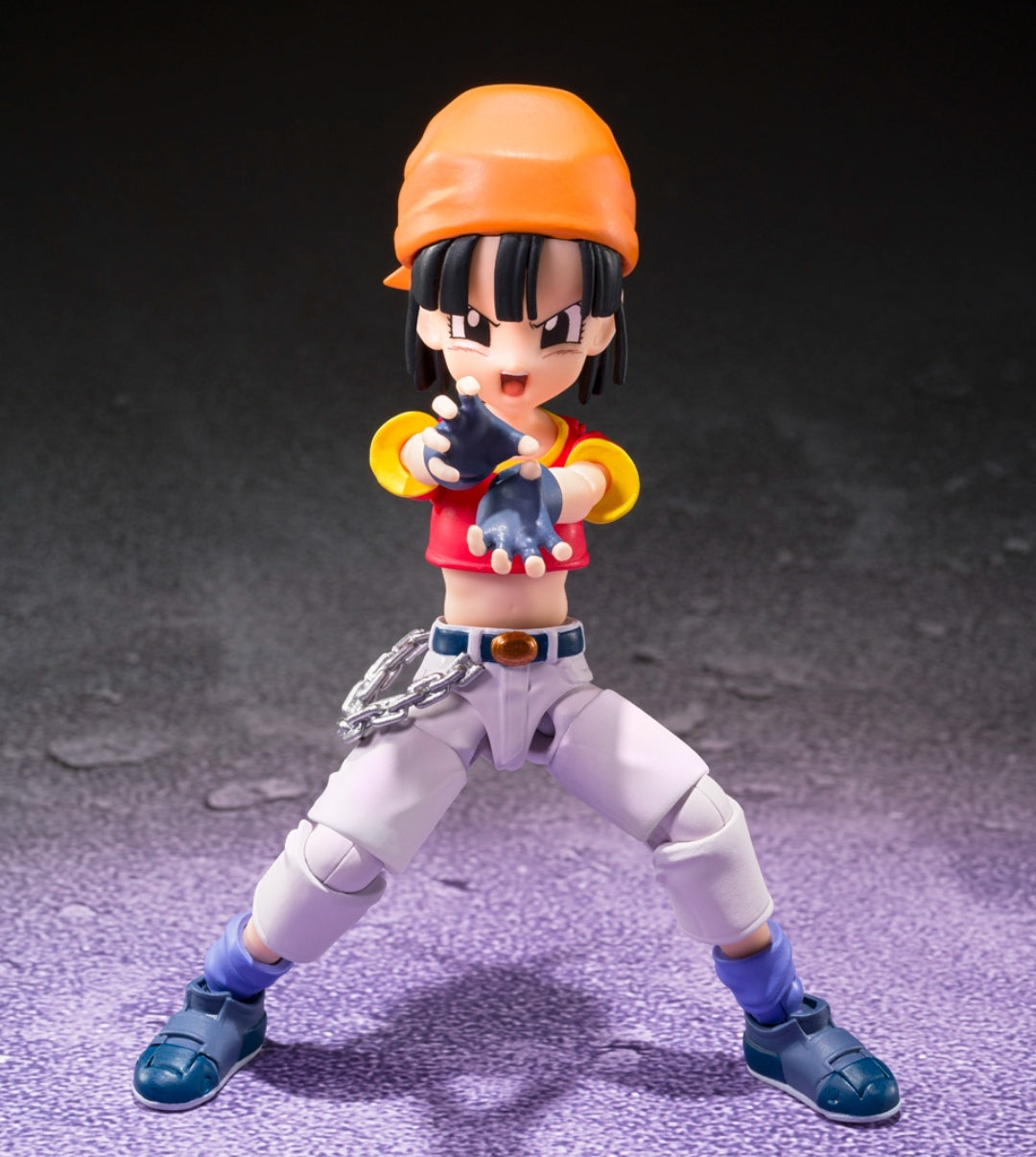 S.H.Figuarts
PAN -GT- & GILL