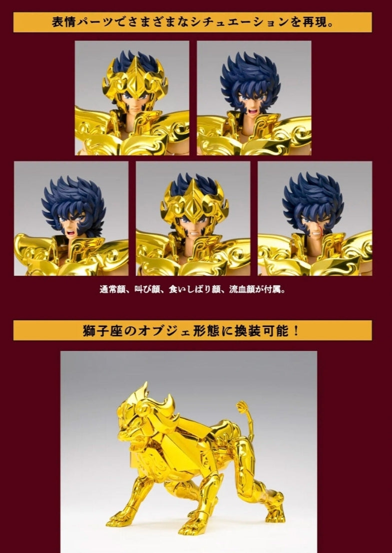 SAINT CLOTH MYTH EX Leo Ikki - Successor of the Golden Cloth - Pre order. Release in January 2026
