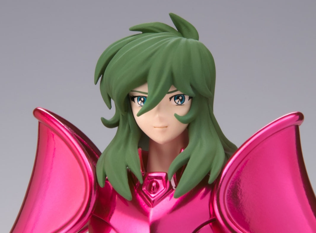 SAINT CLOTH MYTH EX
ANDROMEDA SHUN [NEW BRONZE CLOTH] <REVIVAL Ver.>