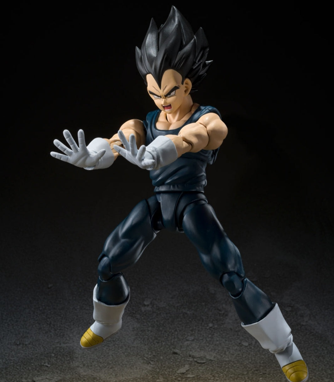 S.H.Figuarts
Vegeta SUPER HERO