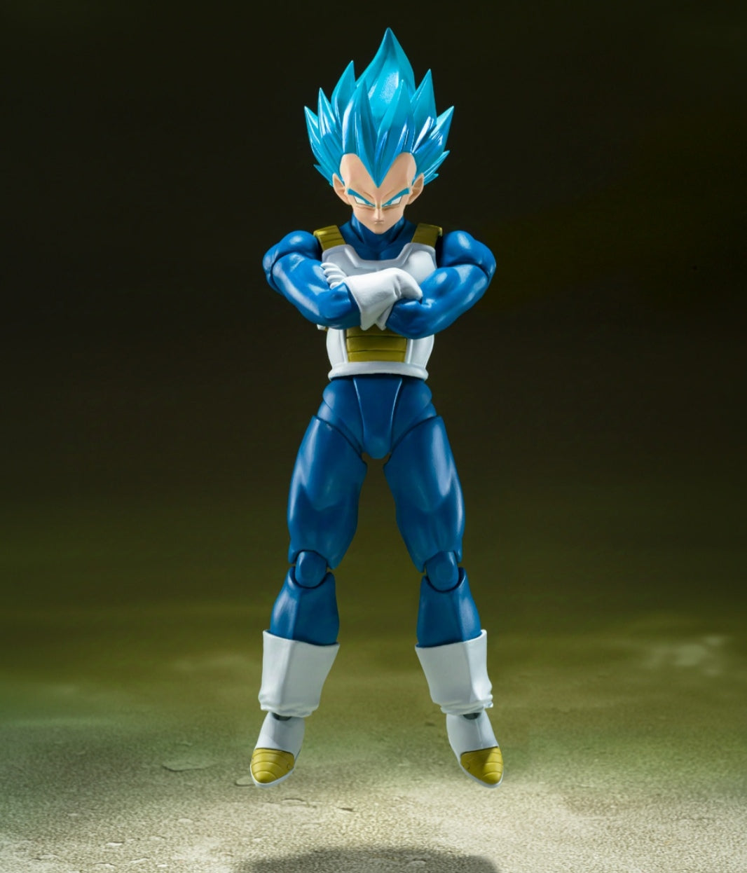 SHFiguarts
Super Saiyan God Super Saiyan Vegeta - The Pride of the Saiyans -