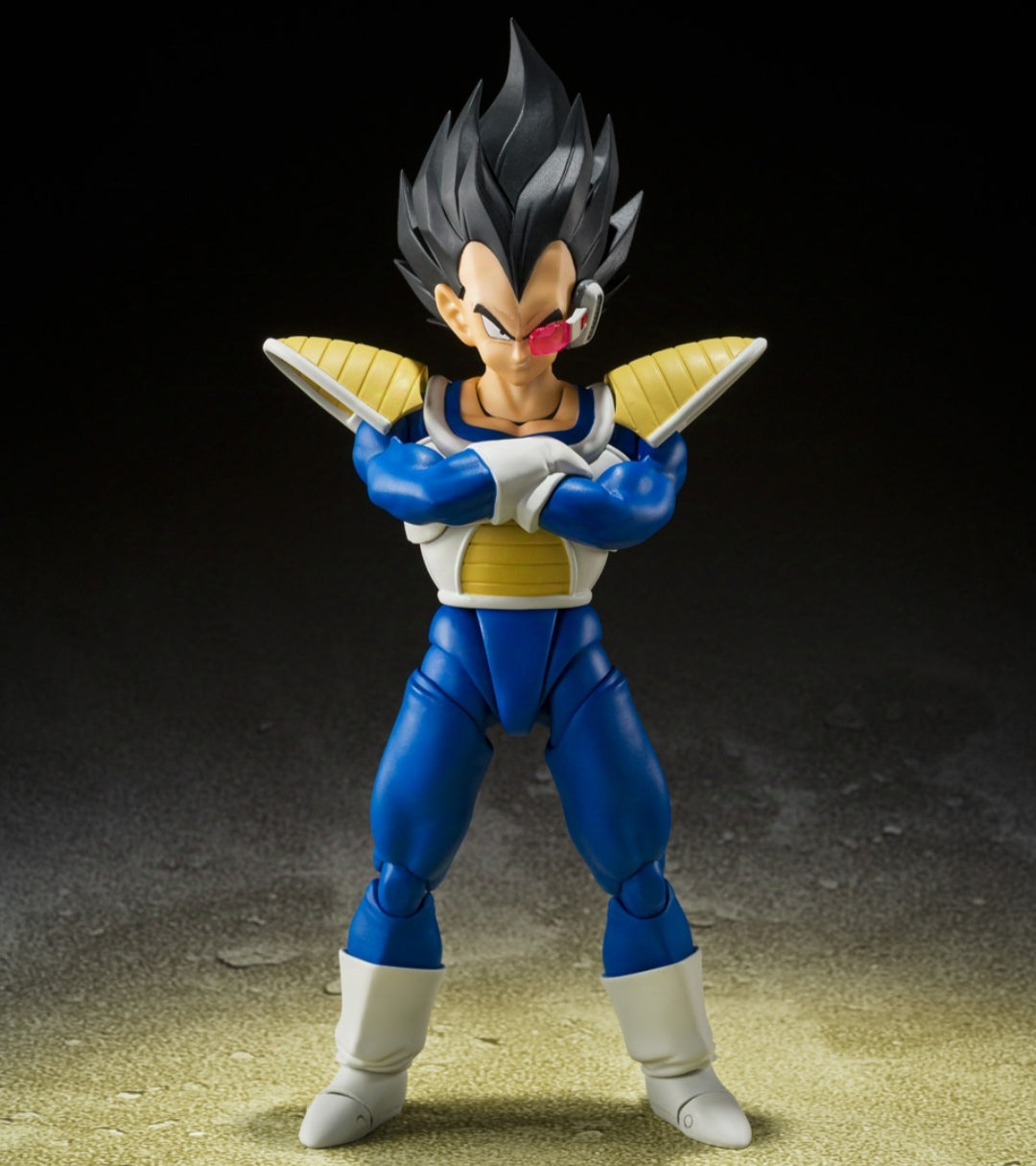 SHFiguarts
Vegeta - 24000 fighting power -