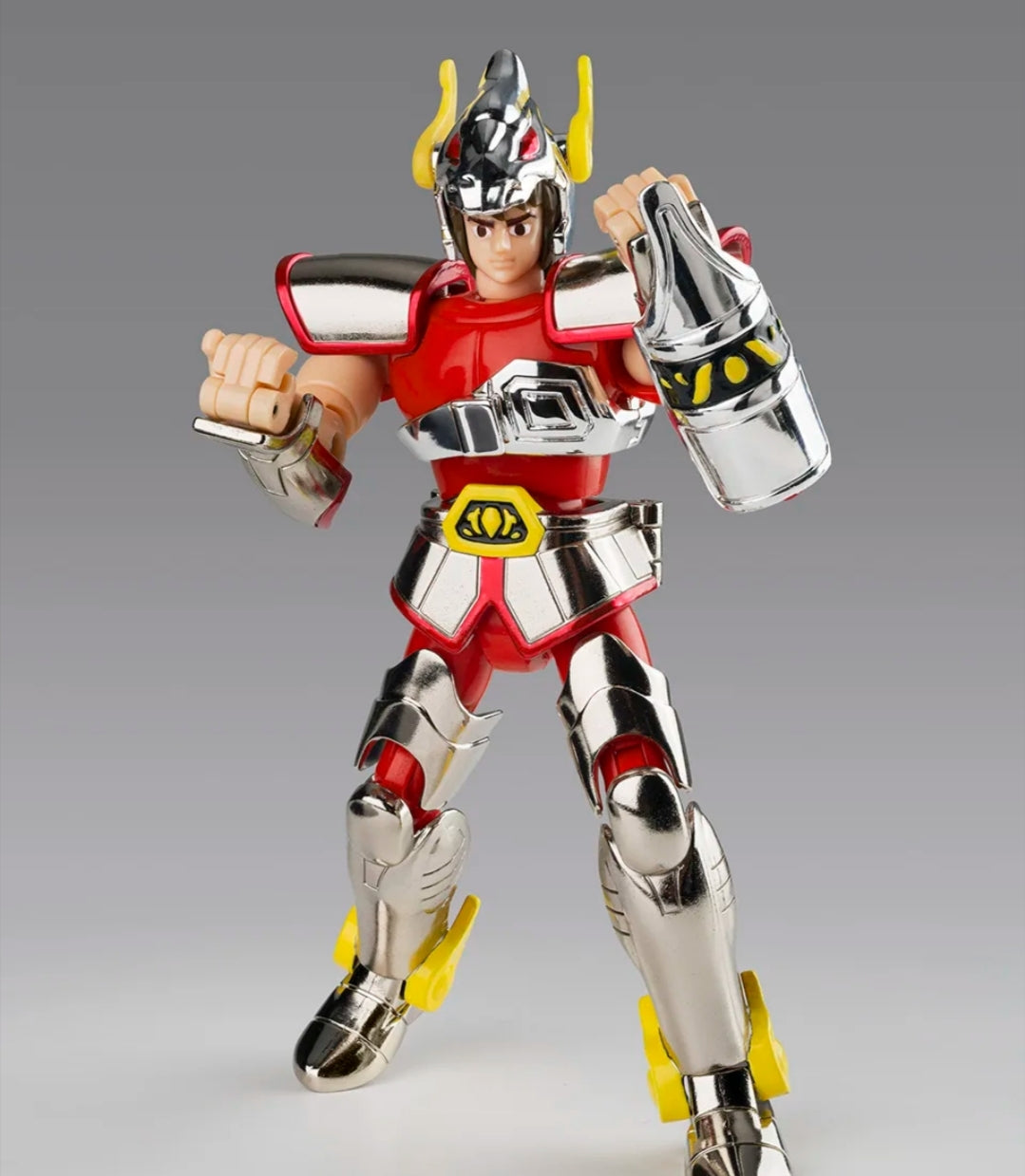 Pegasus Cloth (First Edition Limited Edition with Cloth Box) -Pre order- Jan 2027 release