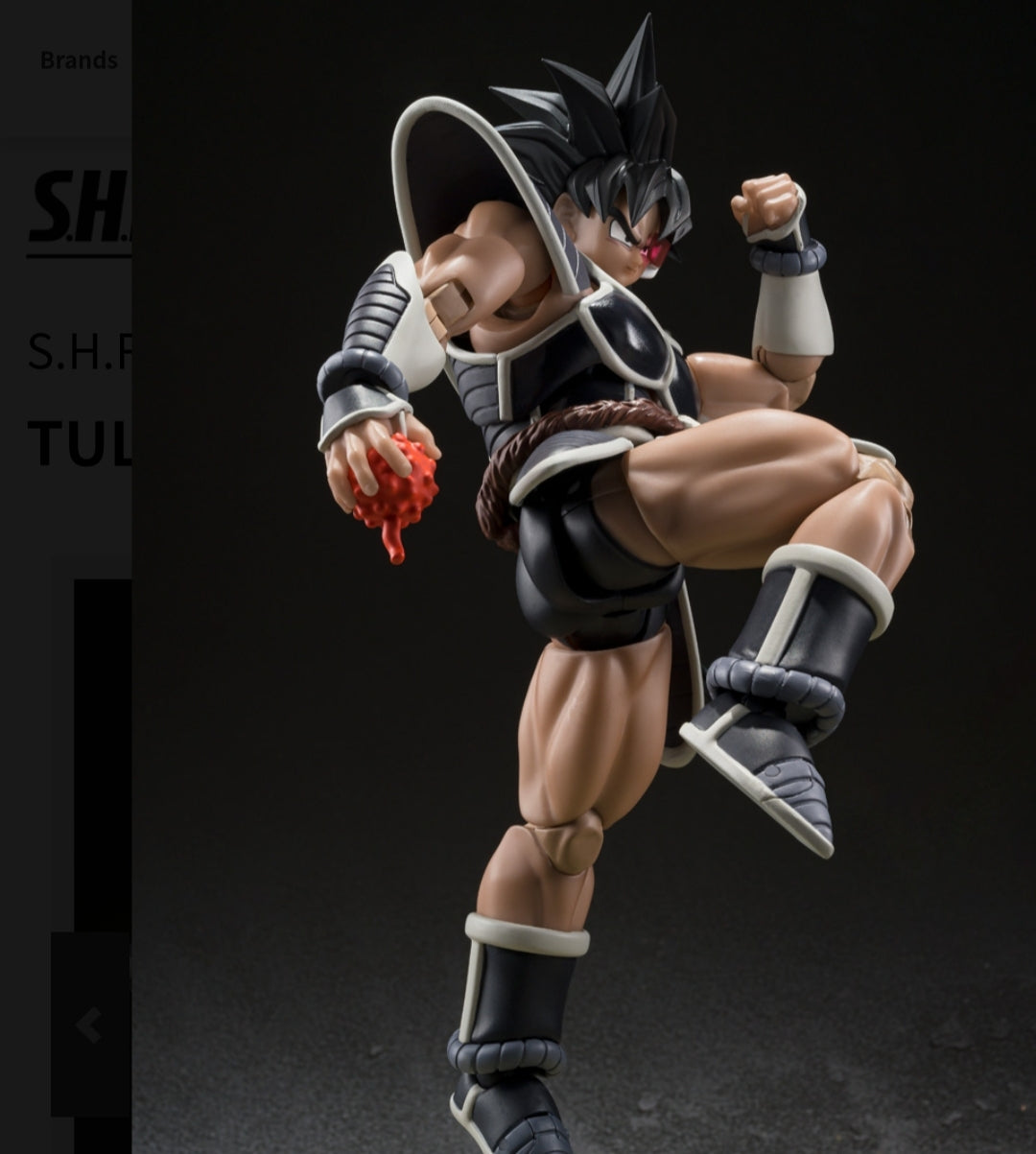 S.H.Figuarts
TULECE